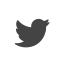 Icon Twitter